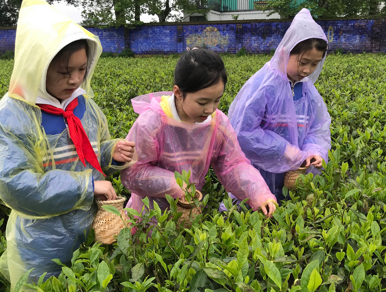 ɲæ ,ɲ ɢ 095848qln9s060vds66dy8