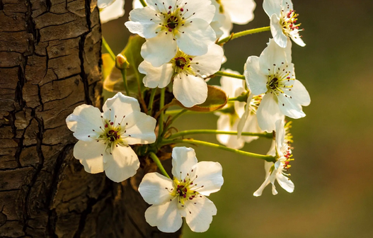 滨ʮף 滨,ʮ Ͻ 100806hdyu11d104d1vy3o