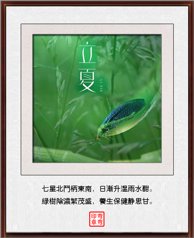 ߾ ߾, Ͻ 175637t4llnl4htdwlzehl