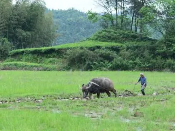 .3ף  Ͻ 094852og8cfiollauh1h5u