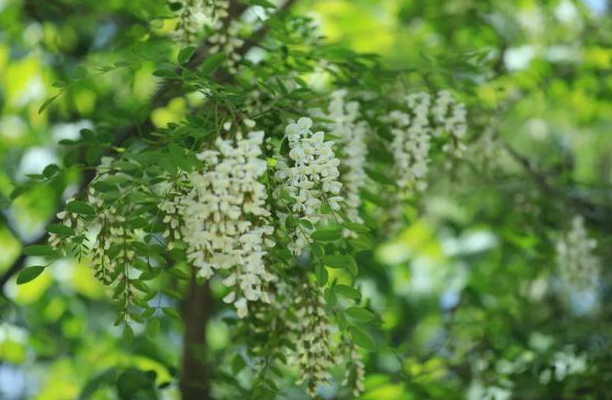 ʢף ,ʢ ִʫ 095728a9jatx0t39otjext