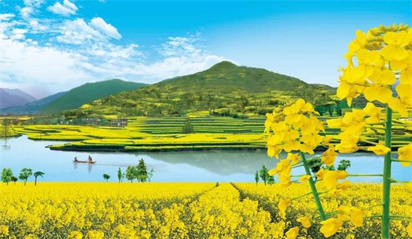 Σʮף ,ʮ Ͻ 112713a6teu3vgu3n6vagq