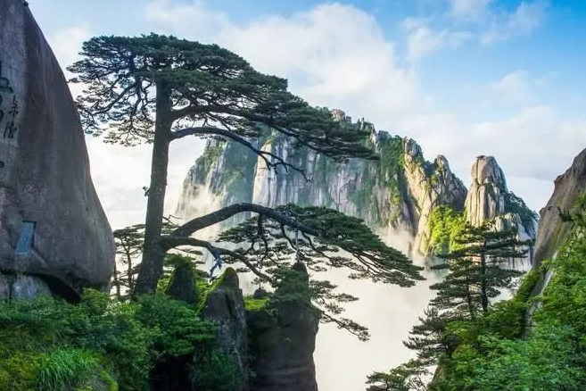 ɽ֮ ɽ,֮ ɢ 184841uh1b2g2g9mb8mimg