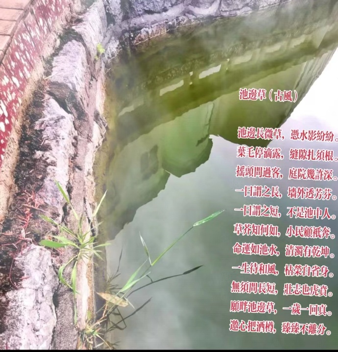 ر߲ ر Ͻ 115906g7a42r46ifc7afgc