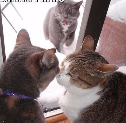 Һ Һ ִʫ 123256curfns4cpsqpyqkg