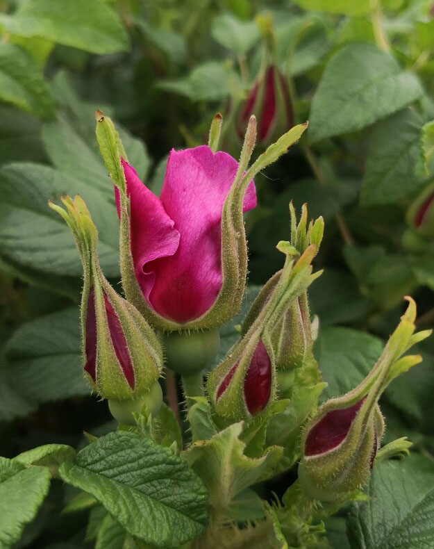 ̨ƽõС ̨,С Ͻ 121311kdlrlbjt3ttqqruy