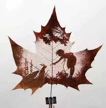 Ҷ ûпõĺ Ҷ,û, ִʫ 124318bqysy77111d7ll1m