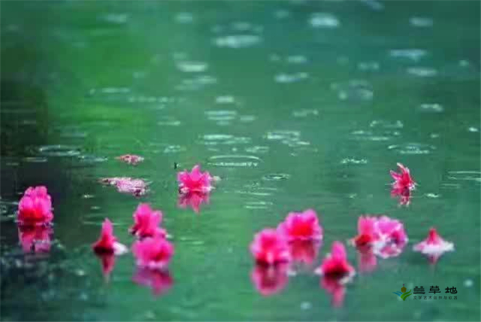 ꣨ɢĶƪ ɢ ɢ 202657am25sg53ps9599lg