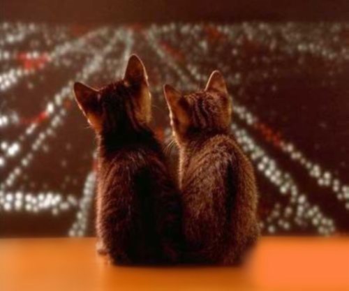 ֳ ֳ ִʫ 123043dzpo2h55fp52fnn5