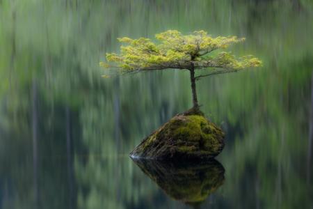 ļ ,, ɢ 090353aignmcn37umdp14c