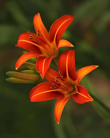 µĻ µ ִʫ 124239kznocupnhj5xceax