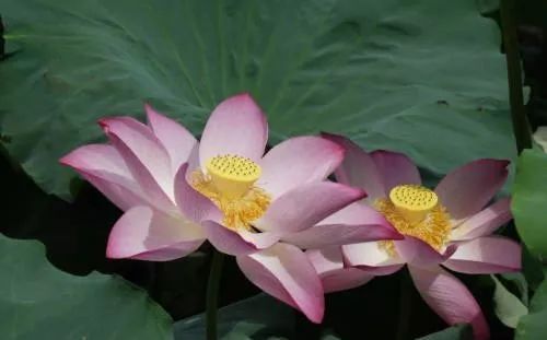 ֮ϰף  Ͻ 111230p8ojtg1hrcjjx69j