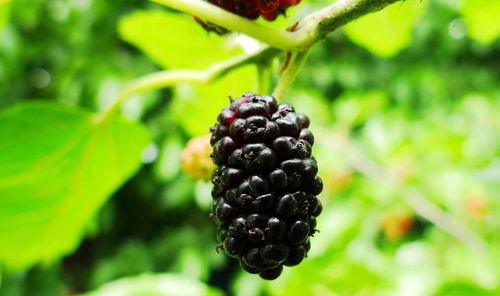 d3c170f287d2dd5b.jpg d3c170f287d2dd5b.jpg