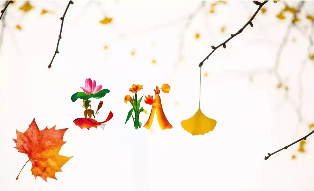   ִʫ 130510aed2babe4bvgh2te