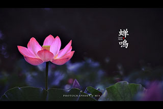 ĺɣΡ  ɢ 134159mlrtccjdo4lzqjw9