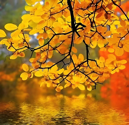 ߾  Ͻ 122217zg8hb93m0mabiq2m