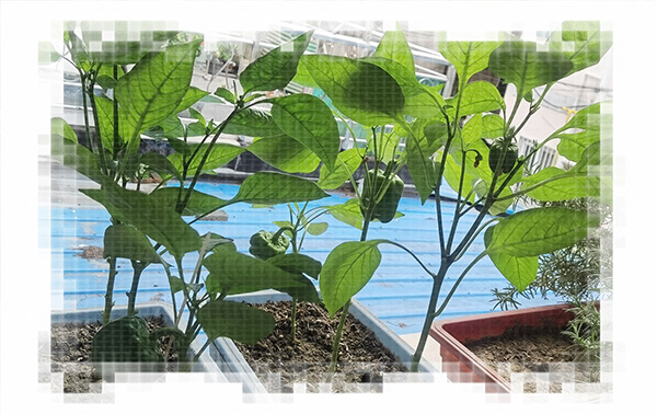 Գ  Ͻ 124358rvpuquopggvzgmgi