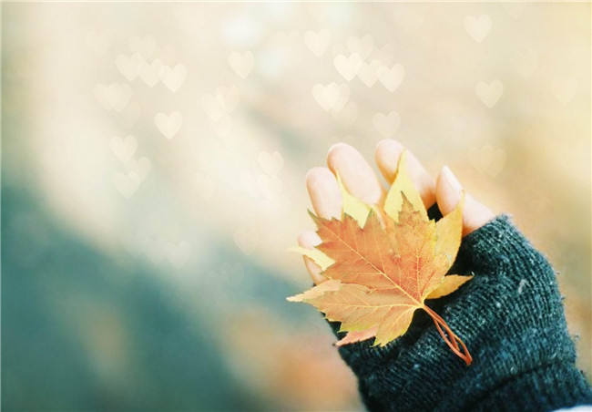   ɢ 193641v5hrwzzsxllsmw5x