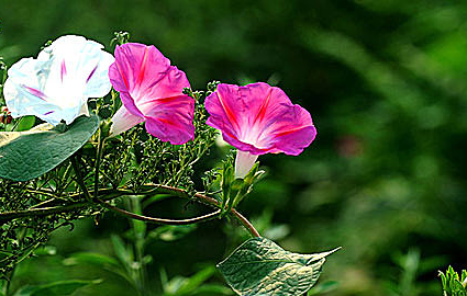 һ仨  ɢ 112237gu2br0zgipi2tju5