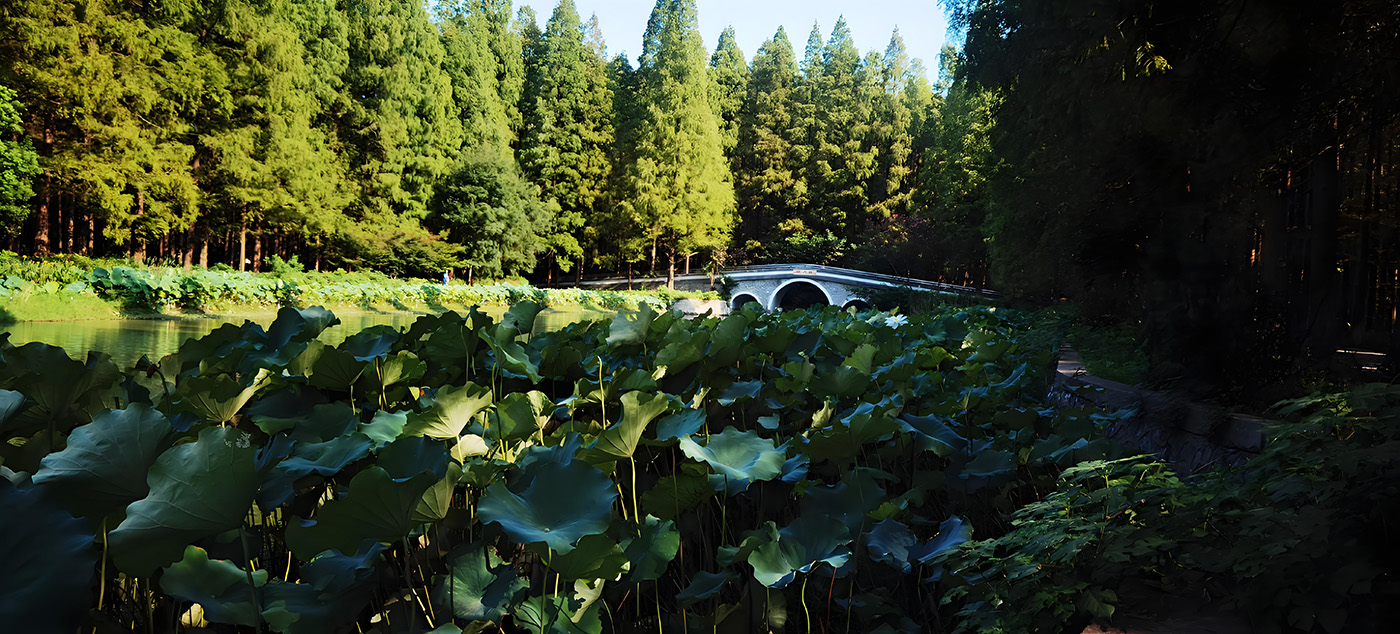 ԰ܽؼ  Ͻ 132350ctivmttnmgvx11sf