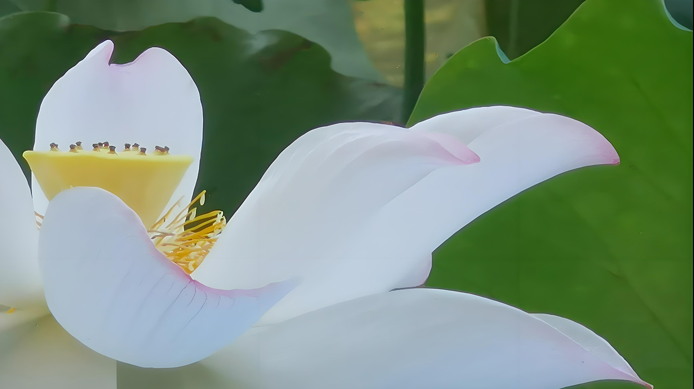 ԰ܽؼ  Ͻ 132351lyi37d3neelzxz5e