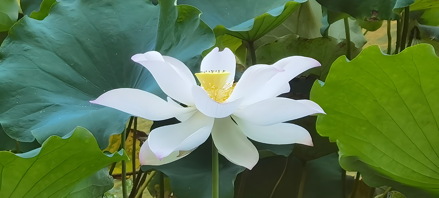 ԰ܽؼ  Ͻ 132351y9jtp9fjghjnzppg