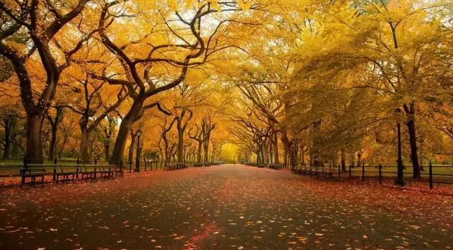 ʱż һף  ִʫ 091745qkl8l6kwekcacbec