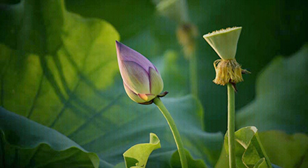 Сɣ壩  Ͻ 130546uvf7aadrvztqyiui