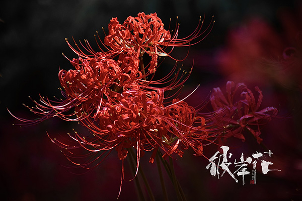 ˰  ִʫ 124344b330z377bwt3bp7z