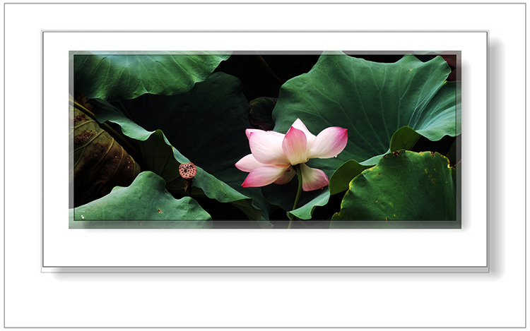 ڲ  ɢ 124108o700d4o7a8dvz7xl