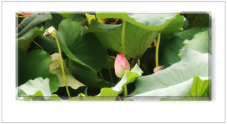   ɢ 124401g7vqfkgyv7sv4zmq