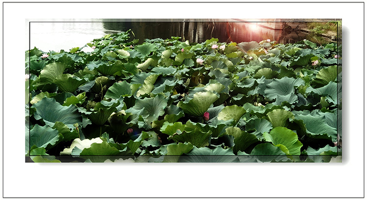   ɢ 124401ns0b65557u67shu8