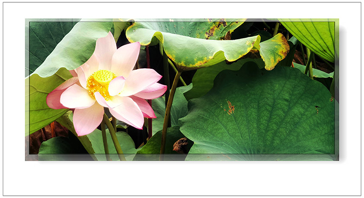   ɢ 124401prcczs7rf7bcgxrz