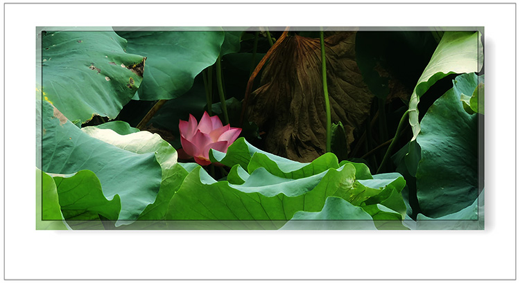   ɢ 124401ug6r3r3dd0d6f2g3