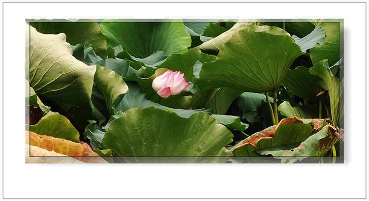   ɢ 124401ypki91ipn9nfz5i1