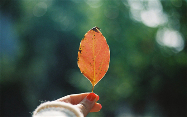 дʫ  ִʫ 094535t9fp75tz77lj5b05