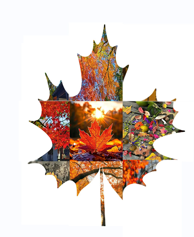 ӡҶ  Ͻ 114802j47u06ttezpwm0w6