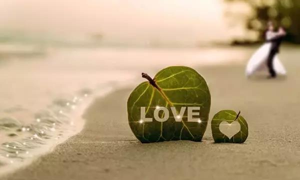 微信图片_20171110205543.jpg 微信图片_20171110205543.jpg