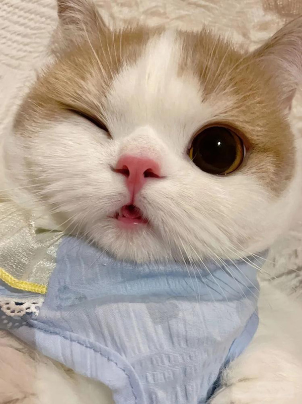 ʱ1.ɰ  ִʫ 120700xsv2wq5myyu65mbb