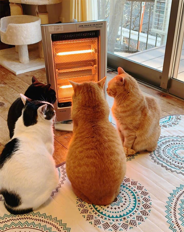 ʱ6.׷  ִʫ 130635xc4zjq5r9gzmr479