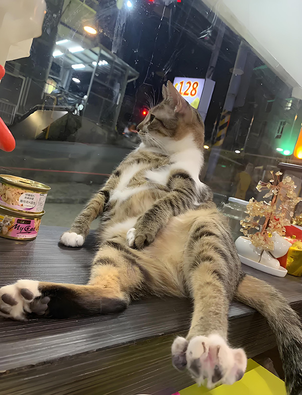 ʱ8.ܵ  ִʫ 113634ggm069fmdqvli3g6