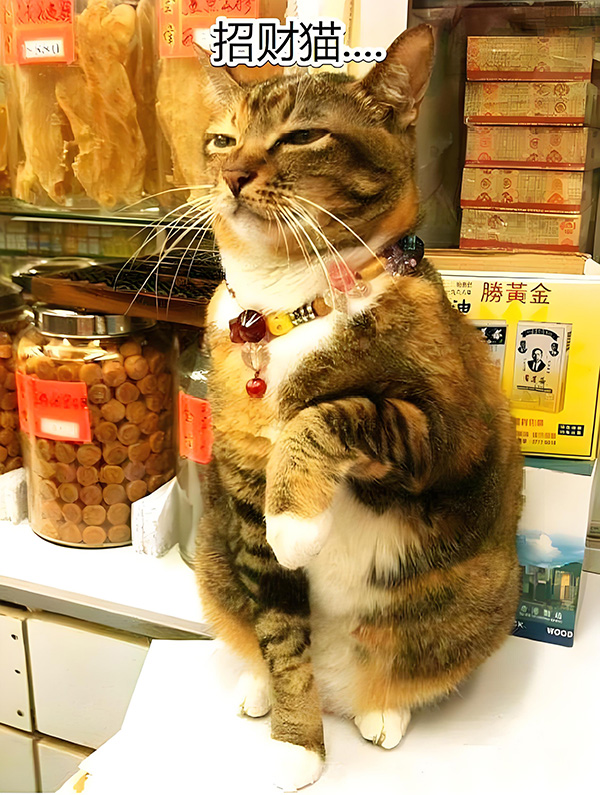 ʱ9.ڴ  ִʫ 114309esn20gnhmuhx7uhw