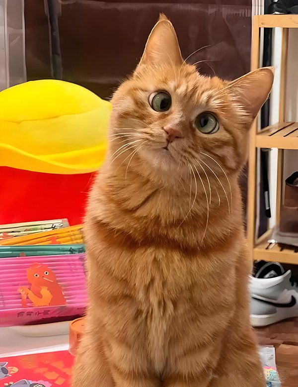 ʱ10.Ŀ  ִʫ 120707jp3p6g8834ajznvo