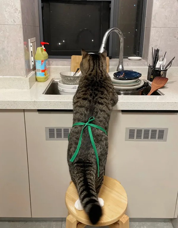 ʱ11.  ִʫ 121208o8poxvddmke1tu82