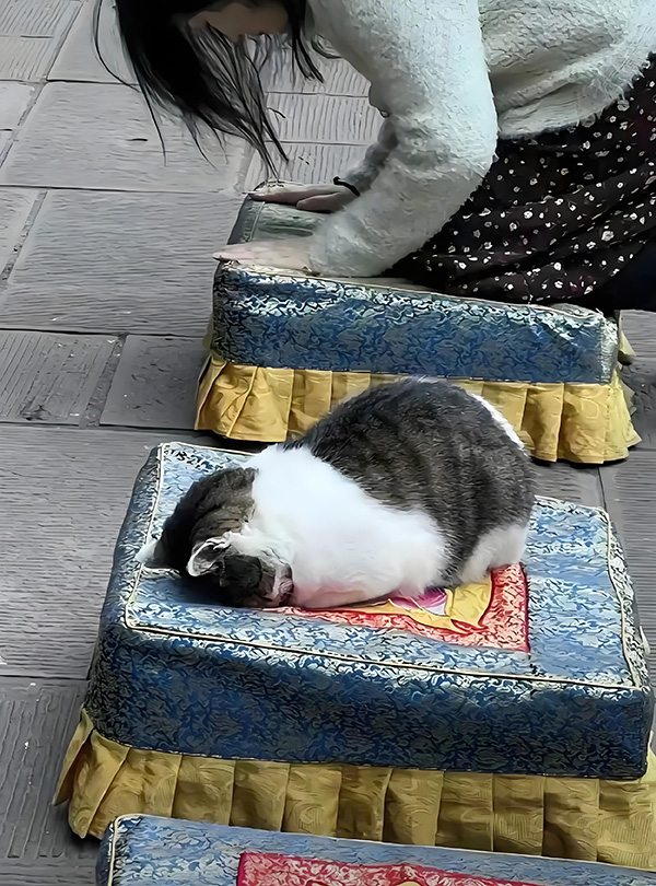 ʱ13.  ִʫ 123738c6e58pep8l9wrb5j