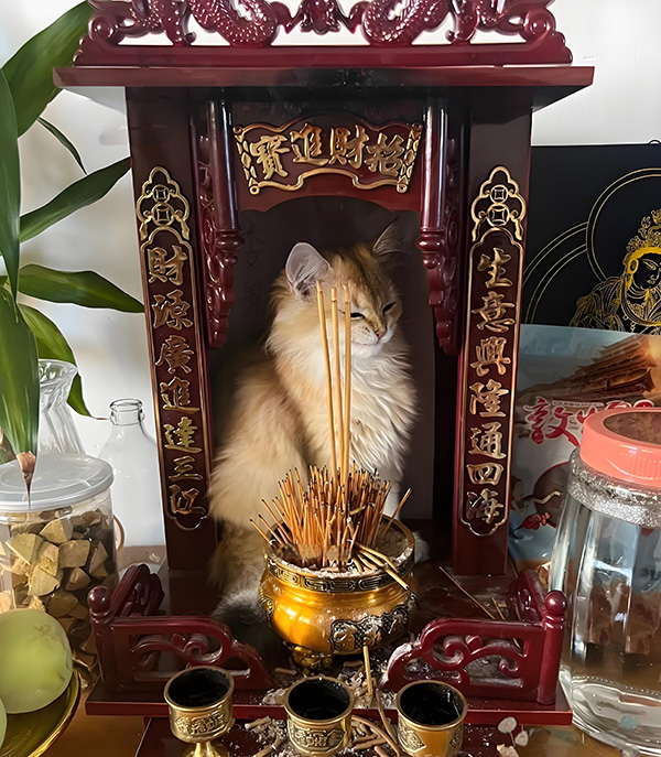 ʱ16.׷  ִʫ 123454p5eg5x689eoxveaf