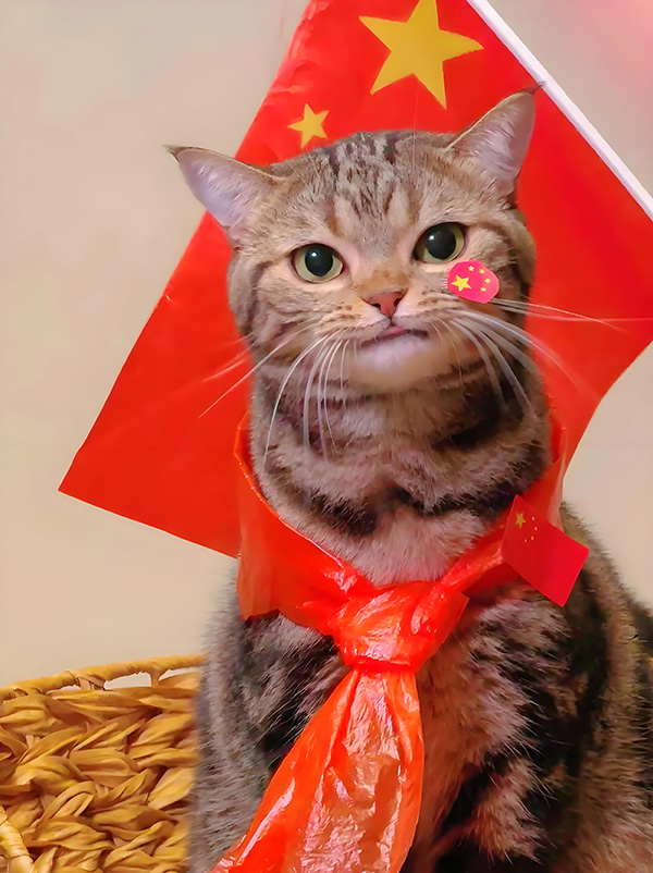 ʱ17.Ҹ  ִʫ 124117mw2wiwcjpv7babde