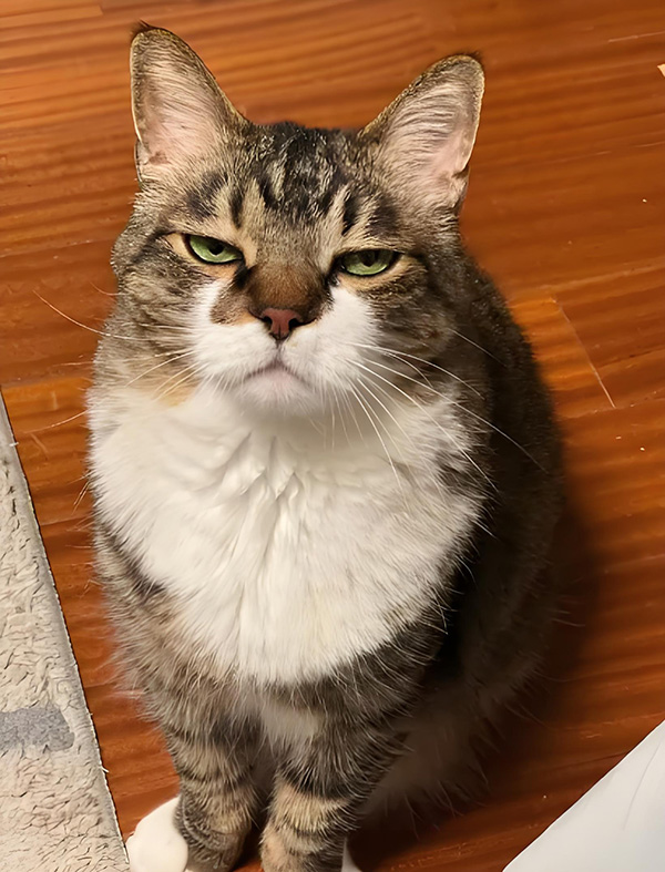 ʱ22.ڵ  ִʫ 121744lu7y1zf74a1c5bfk