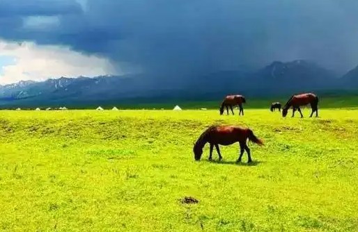 磬Ұ  ִʫ 161449kp8pz8oeelx7akpl