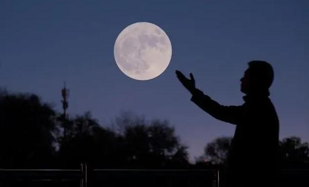 ҫ߳  ִʫ 220722ik1ro1zw4553croq